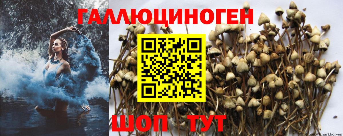 Псилоцибиновые грибы MAGIC MUSHROOMS Коломна